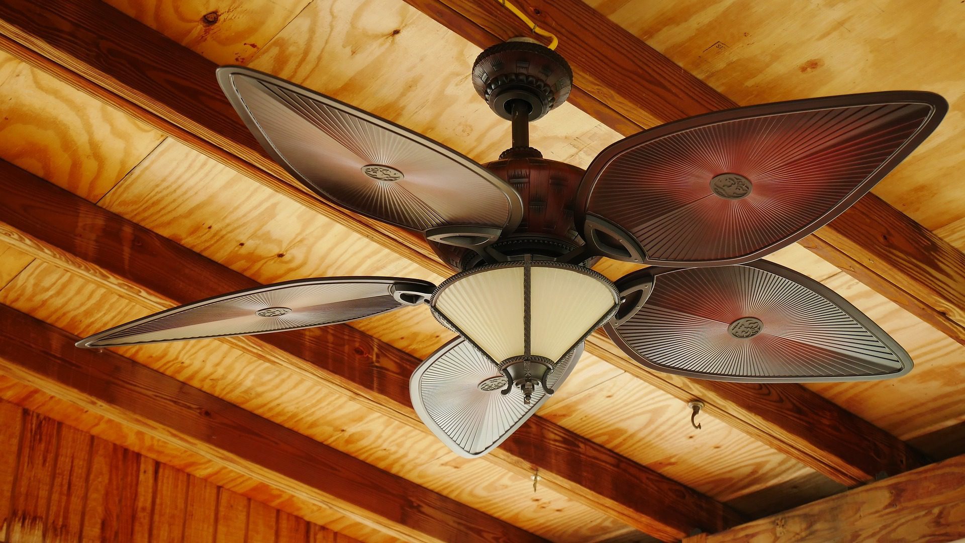 Read more about the article Airbnb Hosting: How to Clean Ceiling Fans for Guest Stays