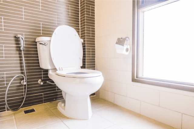 How to Remove Toilet Bowl Stains