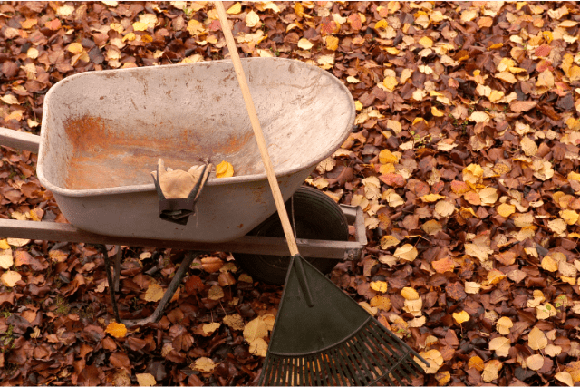 fall-cleaning-guide