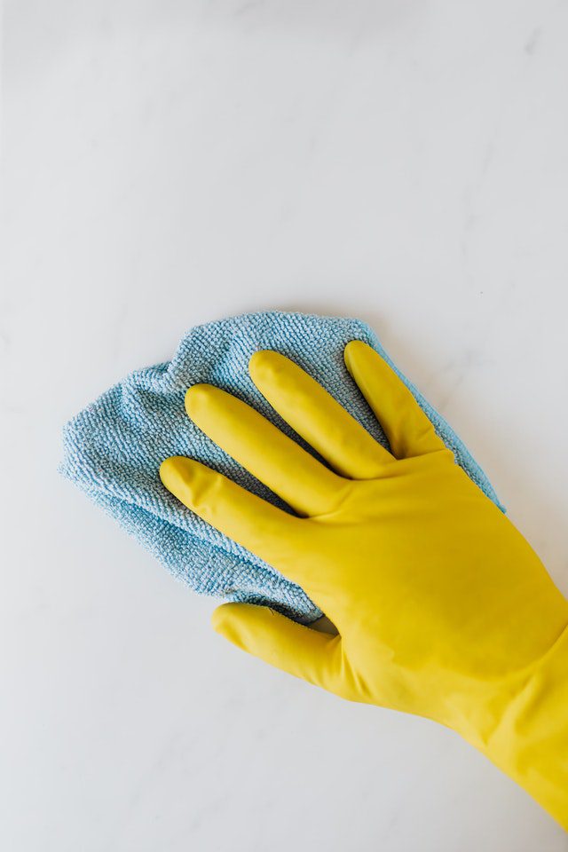 tips for keeping clean with pets at home