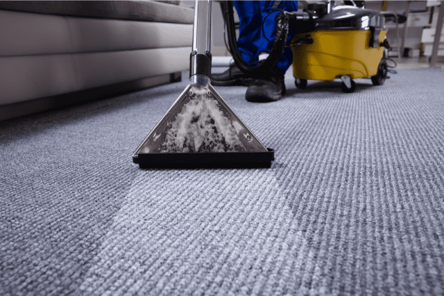 carpet-cleaning-chicago-3