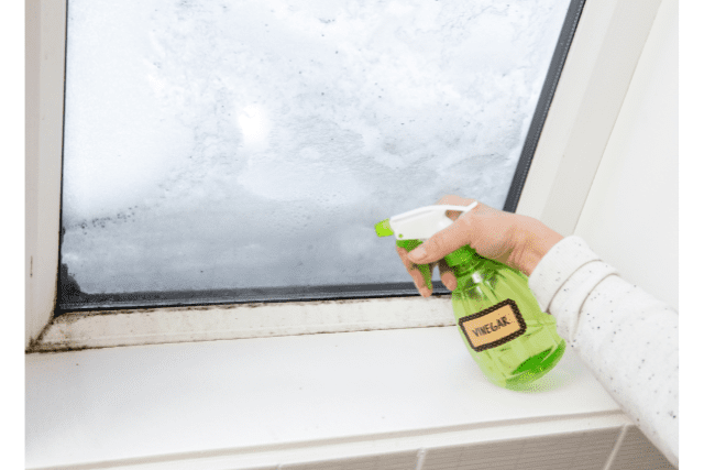 Surfaces You Can Clean With Vinegar