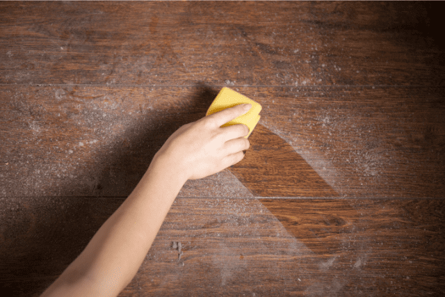 Common Allergens In A New Home