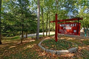 northeast-park-cleaning-western-springs-il