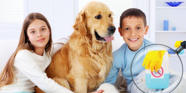 are-the-cleaning-products-safe-for-pets-and-children-2