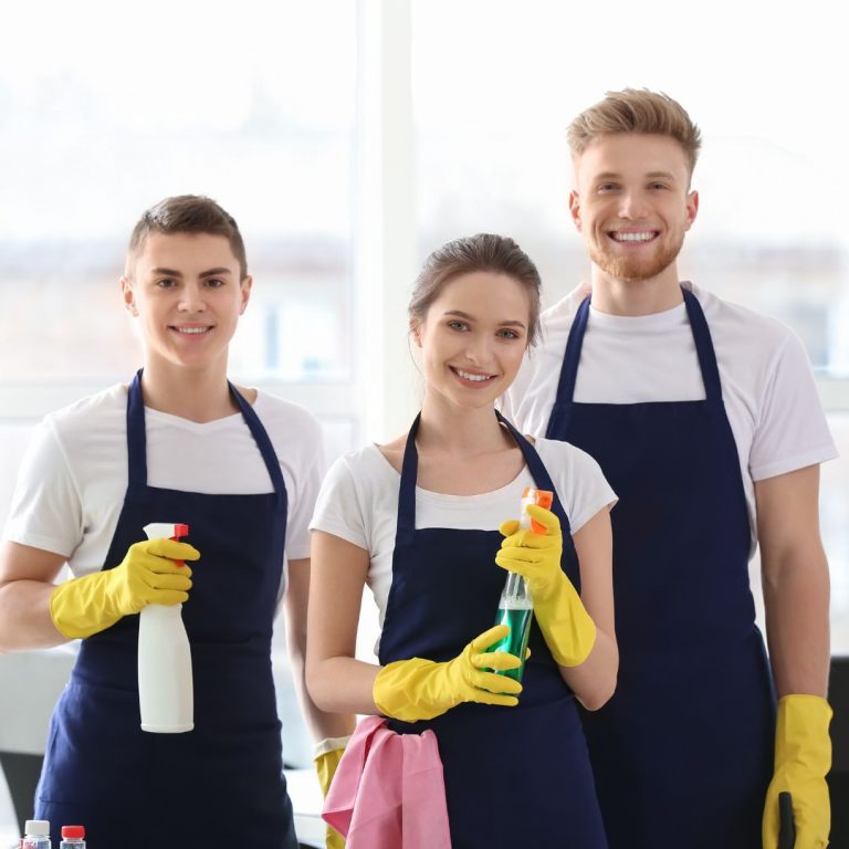 Harvey IL office cleaning service