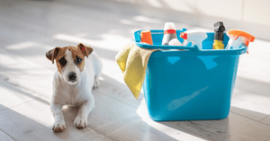 Read more about the article Pet-Friendly Apartment Cleaning Tips