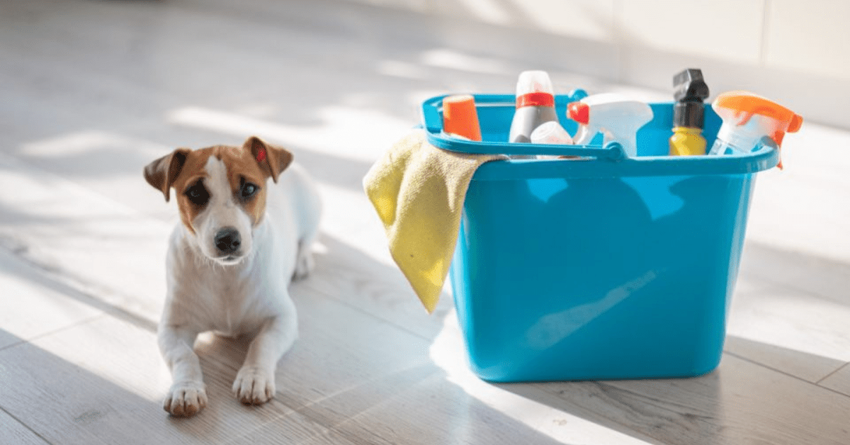 Read more about the article Pet-Friendly Apartment Cleaning Tips