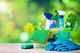 You are currently viewing Green Cleaning Our Best Option